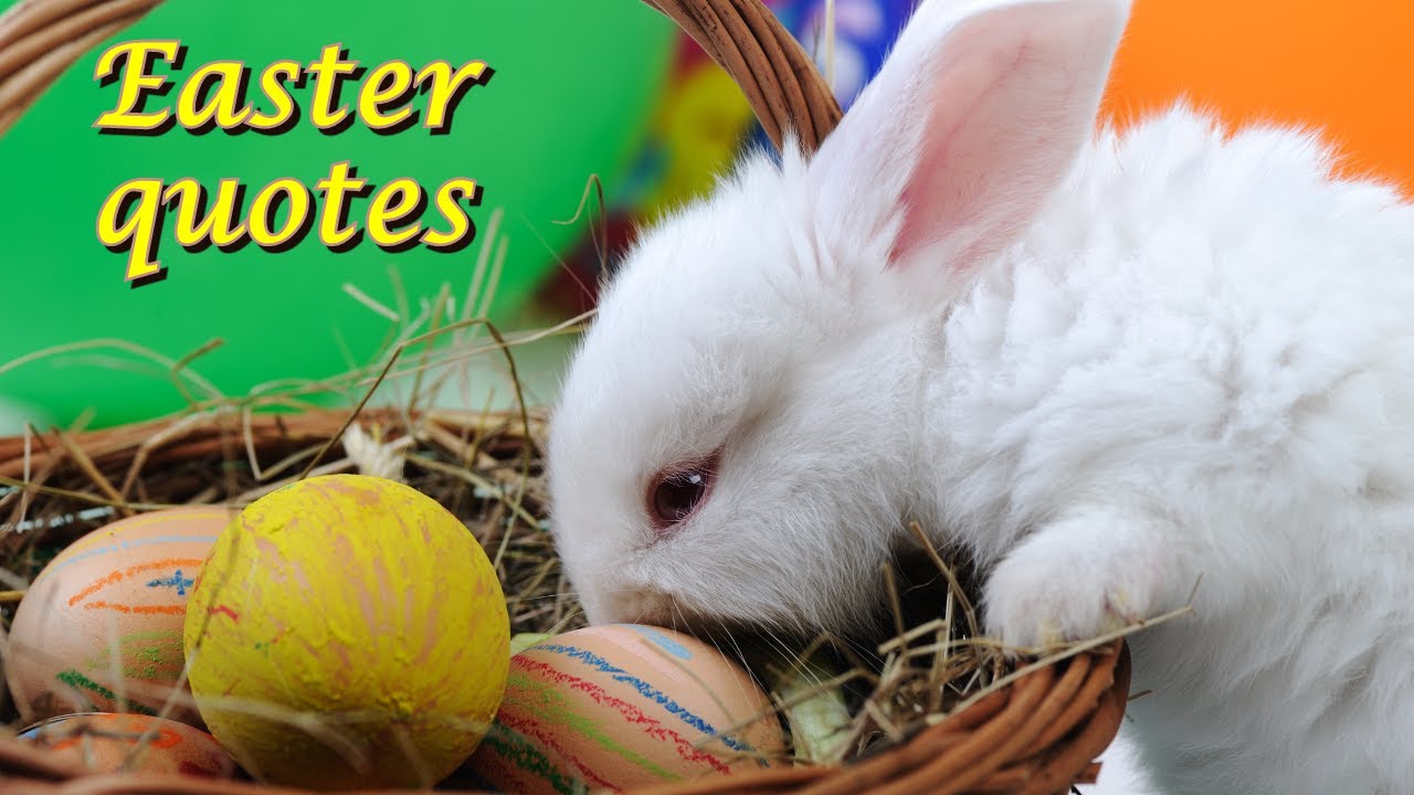 Easter bunny mom