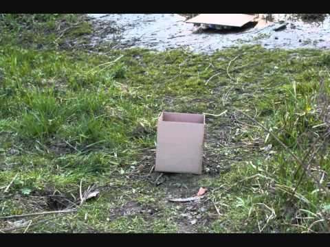 Island in the sun - Weezer (by Cover Box)