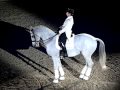 Ács Róbert&Shannon TSF zenés kűr, lovas világkupa 2009