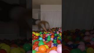 100,002 Balls In A Room