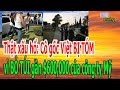 Th,ậ,t x,ấ,u h,ổ: C,ô g,ố,c V,I,ệ,t B,Ị T,Ó,M v,ì B,Ỏ T,Ú,I g,ầ,n $600,000 c,ủ,a công ty Mỹ