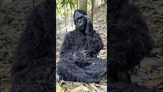 I Met A Gorilla And I Escaped