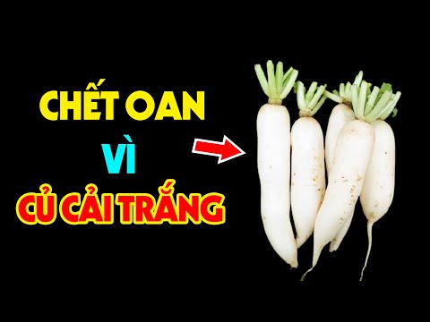 Dừng Ngay Ăn Củ Cải Trắng Nếu Phát Hiện Điều Này Kẻo SỐNG THỰC VẬT CẢ ĐỜI Cực Hại Sức Khỏe