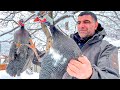 Roasted GUINEA FOWL in Wilderness Snowy Mountains - Relaxing Cooking