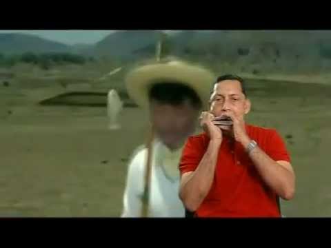 Tribute to Dev Anandji Yeh dil na hota bechara Harmonica
