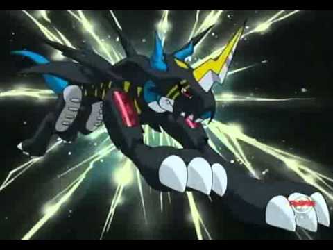 Intro2 Video