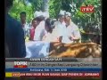 image Kahwin Dengan Binatang Dibali