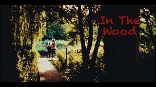Cinematic Video Panasonic Lumix Gh3 Sirui Nightwalker 24Mm T1.2 Blackmagic Video Ist 6G