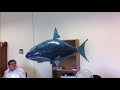 Air Swimmers Shark - Jaws - RC Blimp