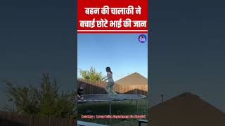 बहन क चलक न बचई छट भई क जन