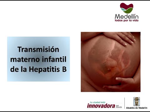 HEPATITIS B CONGENITA hepatitis b congenita: