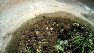 23 July,,Pisciculture, Sericulture Ur Floriculture,Total 500 Acre Chahiye Pr Government Yaa Bank ?
