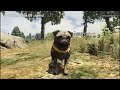 Gta 5 All 27 Peyote Plant Locations 50min Ps4 Xbox images Gta 5 All 27 Peyote Plant Locations 50min Ps4 Xbox