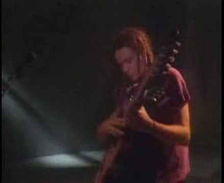 Michael Hedges - Because It's There