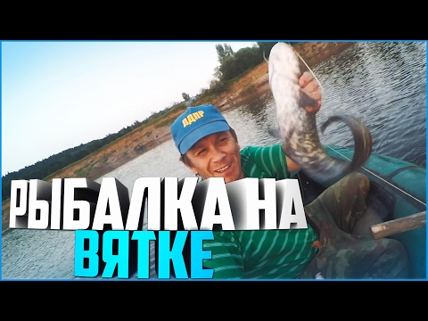на что ловить стерлядь на реке вятке на что ловить стерлядь на реке вятке