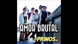 Video Amar Con Sol Los Primos MX