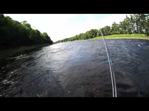 Salmon Fishing Scotland Fly Fishing Benchil River Tay Perthshire...