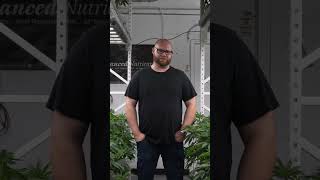 Best Cannabis Nutrients For 2023