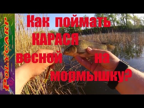 поплавочная ловля на мормышку видео поплавочная ловля на мормышку видео