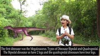 Dinosaurs
