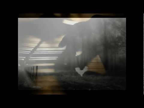 Soleil De Nuit Video