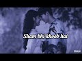 Shaam bhi khoob hai - slowed reverb lofi mix - love songs - trending songs - 90s hit bollywood songs