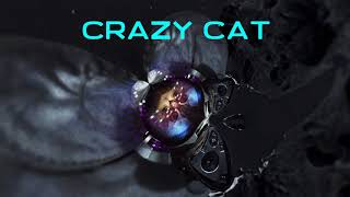 Ildar Nice - Crazy Cat