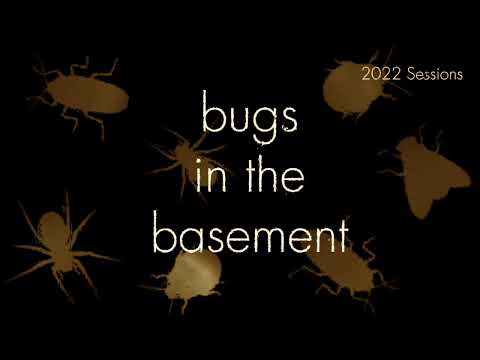Bugs In The Basement- Stenoma Catenifer aka The Avocado Seed Moth