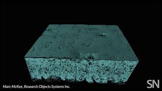 Up close, a chicken eggshell has a complex nanostructure | Science News