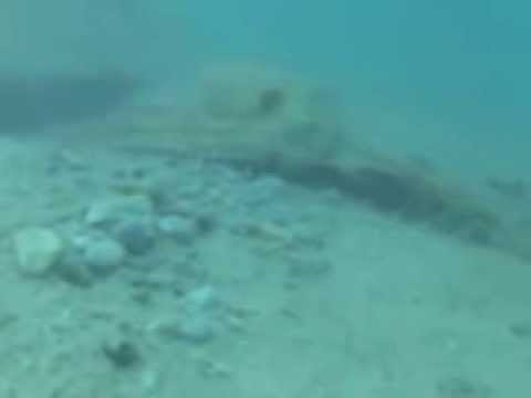 YouTube-Video-Thumbnail