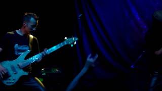 Watch Manimal The Life We Lived video