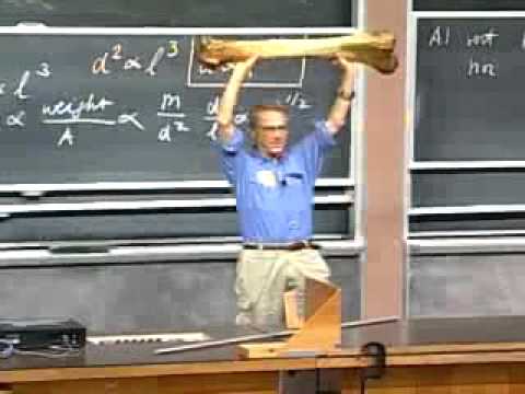 mit opencourseware physics thermodynamics mit opencourseware physics thermodynamics