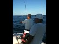 King Fish + Baracuda
