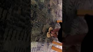 Quick Shoeplay With Smelly Flip-Flops Part 2