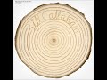 Bill Callahan - Our Anniversary