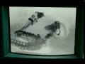 F-Zero: Maximum Velocity - commercial