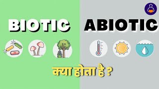 Abiotic And Biotic Factor Biotic And Abiotic Factor In Ecosystem Abiotic Biotic