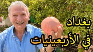 يهود الشرق الأوسط // بغداد في الأربعينيات