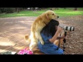 köpek sikisi