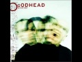 Godhead: Evolver: 08 -- Dream