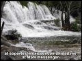 México en Comunidad.wmv