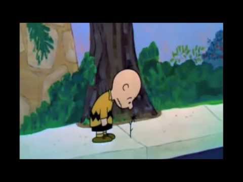 Cheer Up, Charlie Brown!