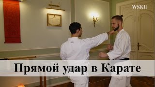 Прямой удар (цки) в Карате - Мераб Ботерашвили