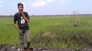 Debu Debu Jalanan - Irwan