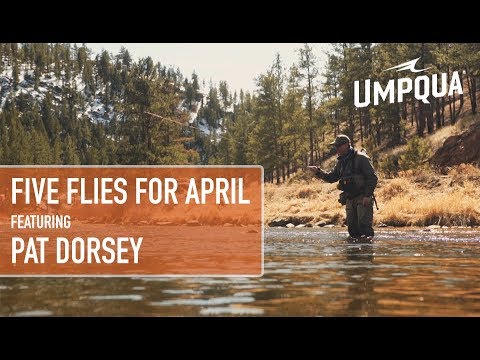 Quite Some Time Video