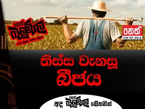 Neth Fm Balumgala | Thissamaharama Farmers 