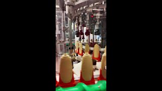 Pov Youre A Shampoo On An Embly Line At A Henkel Production Site