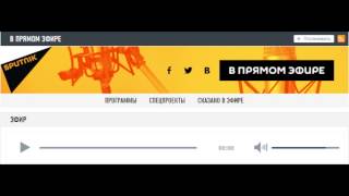 В. Ефимов. Эфир радио "Спутник". Украина и МВФ