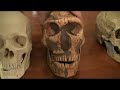 magnon