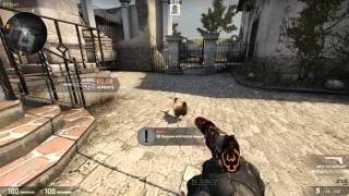 sn0wme BunnyChicken Update CSGO